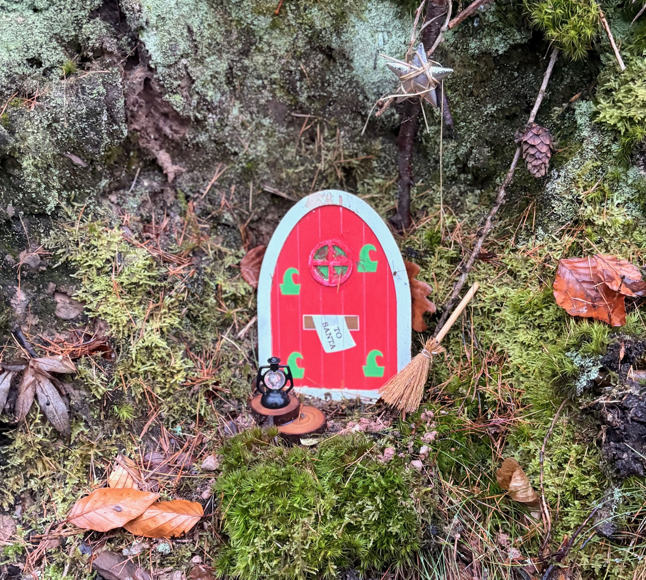 fub_winterwanderung2025_02.jpg